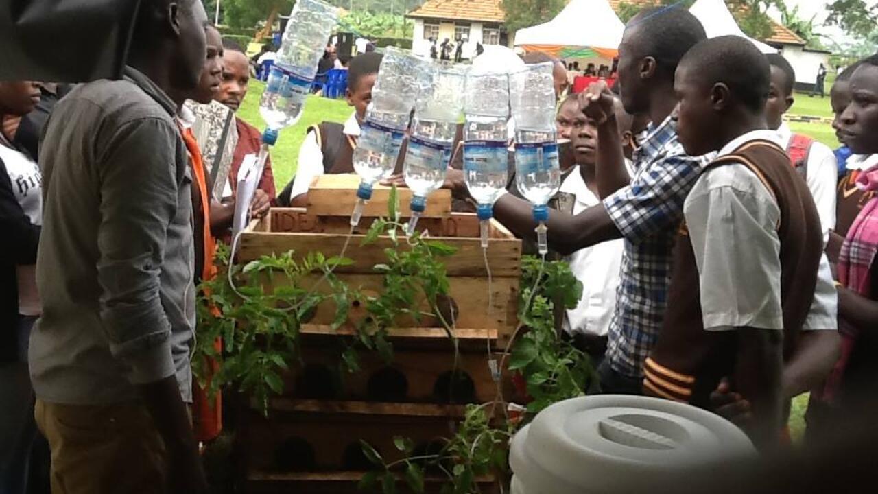 Ugandans try ‘stack farming’ as arable land disappears