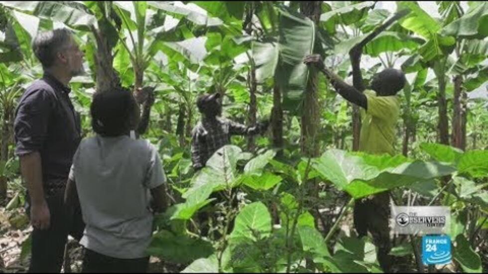 OBSERVERS DIRECT: Avoiding a Future Food Crisis in Cameroon - The