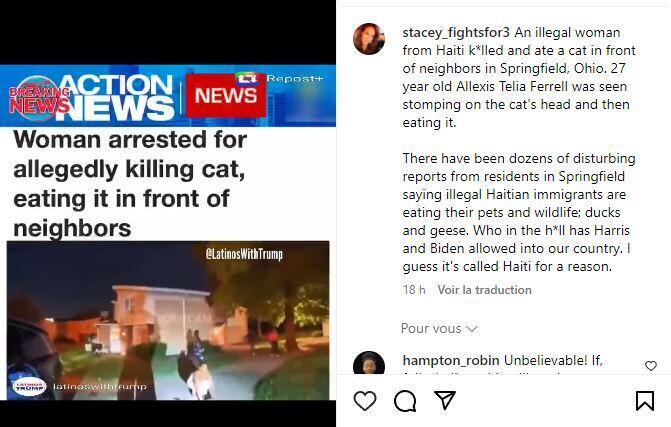 Sur Instagram, un compte pro-Trump prétend le 9 septembre 2024 qu'une immigrée illégale haïtienne aurait mangé un chat dans la ville de Springfield dans l'Ohio. La vidéo n'a rien à voir avec l'immigration clandestine à Springfield.
