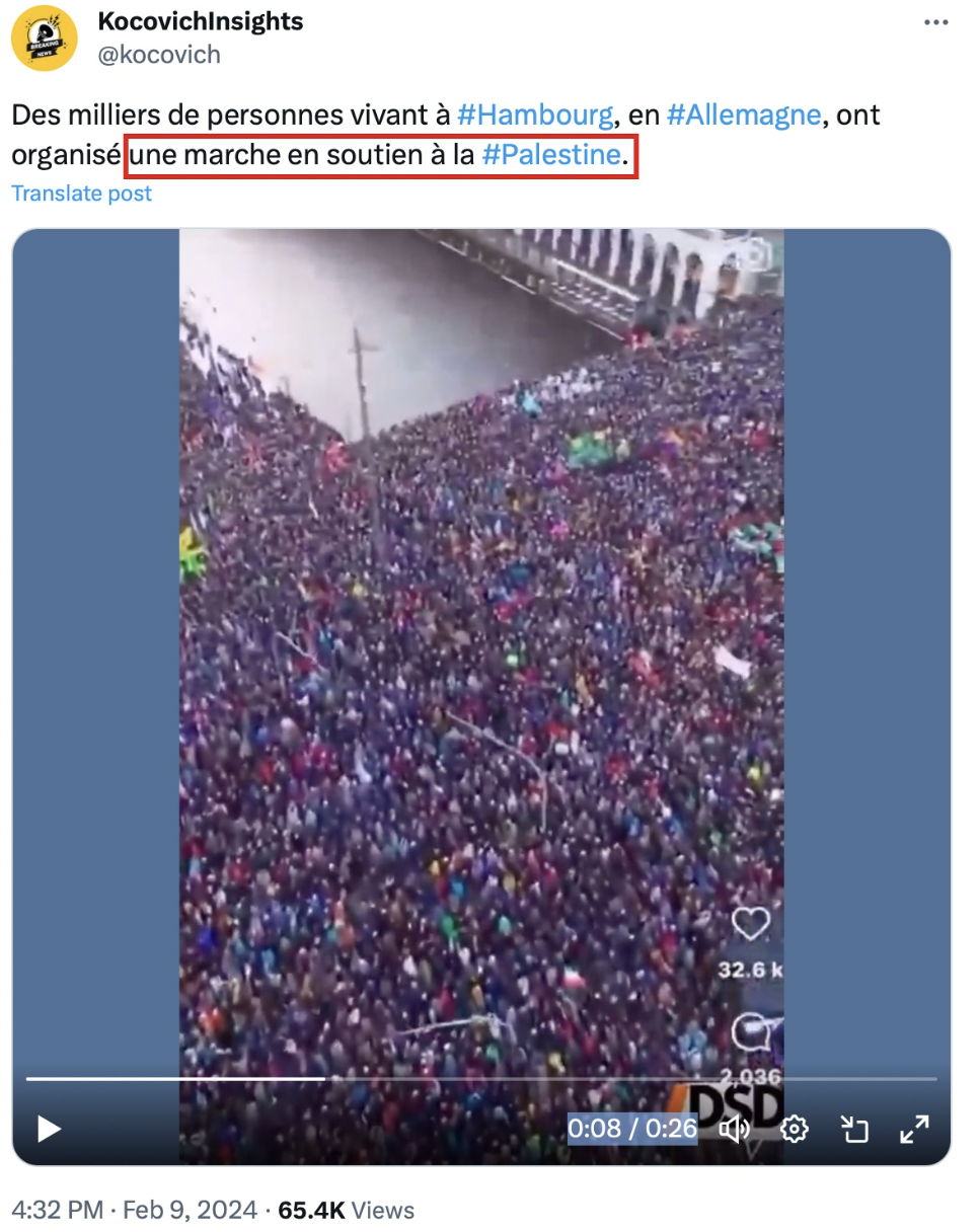 This is a screengrab of a post on X that claimed that this protest in Hamburg was held in support of Palestine.