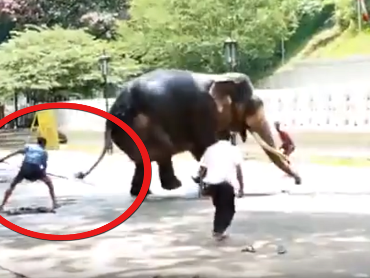 Sri Lankan Buddhist festival