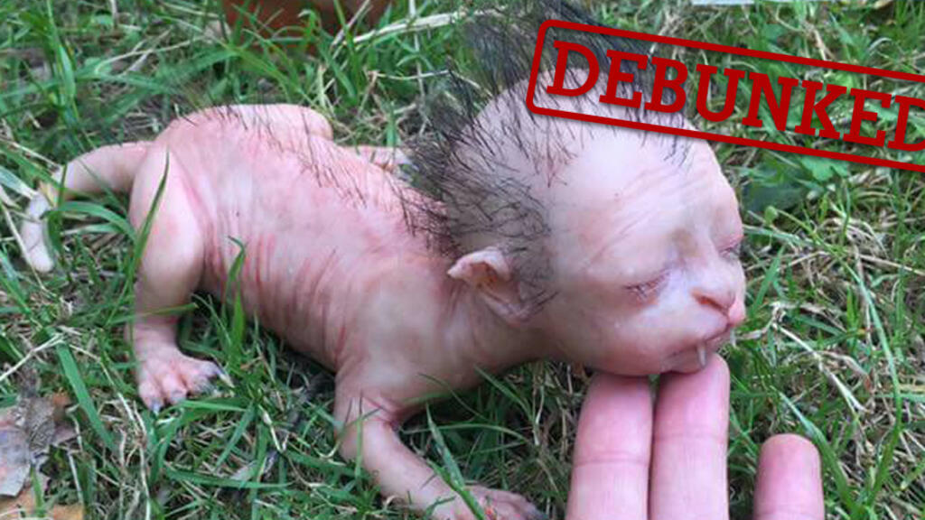 silicone werewolf baby