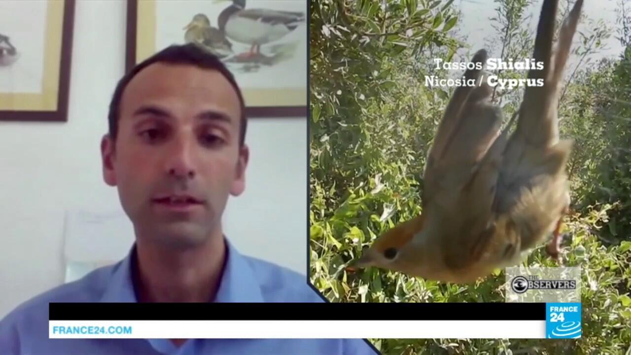Illegal bird hunting in Cyprus خط مستقیم