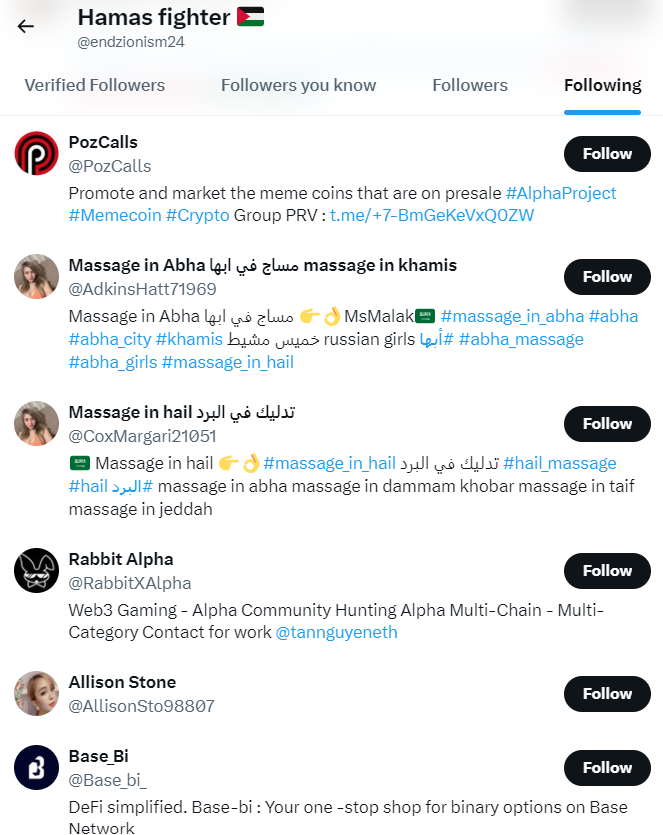 Une liste des abonnés du compte "Hamas Fighter" composée majoritairement de profils de bots. Capture d'écran du compte de Tal Hagin le 22 juillet 2024.