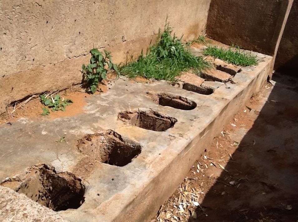 Boy's death in S. African pit toilet highlights appalling school sanitation