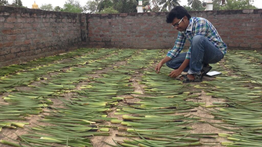 Indian villagers turn invasive water hyacinths into sustainable livelihoods